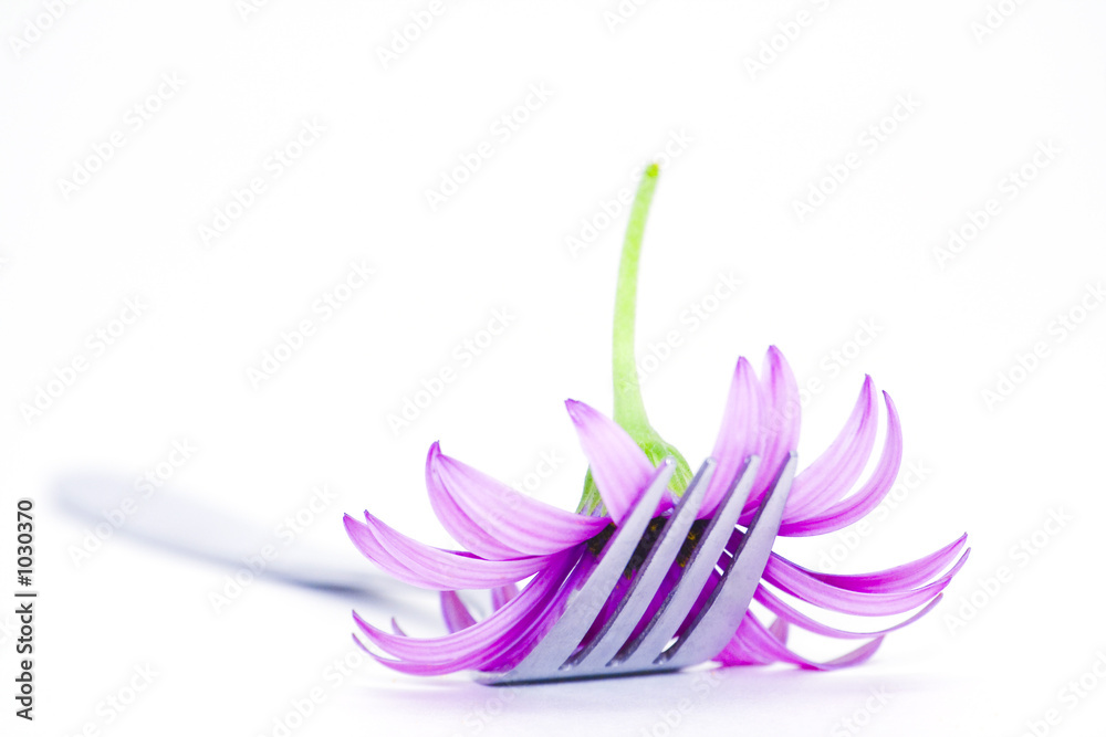 fork and flower