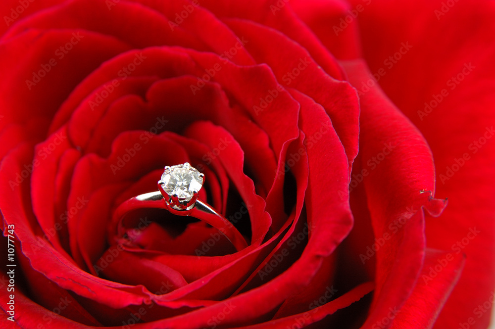 红玫瑰色订婚戒指