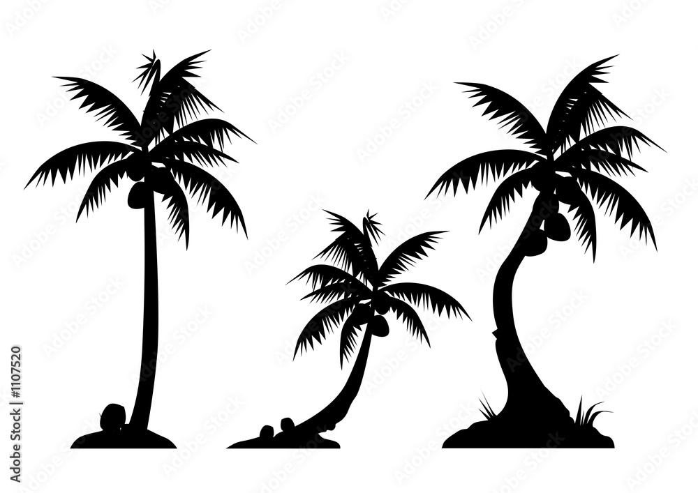 palm trees (triple)