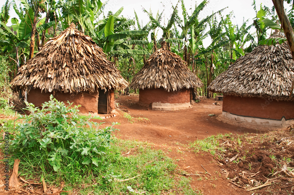 traditional african huts