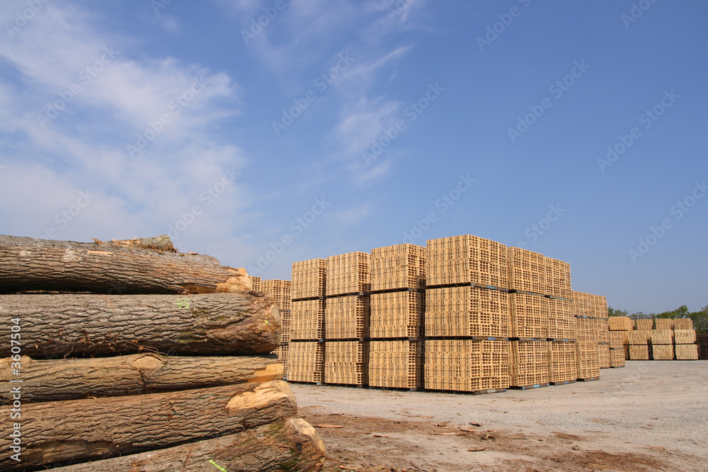 锯木和木制包装箱