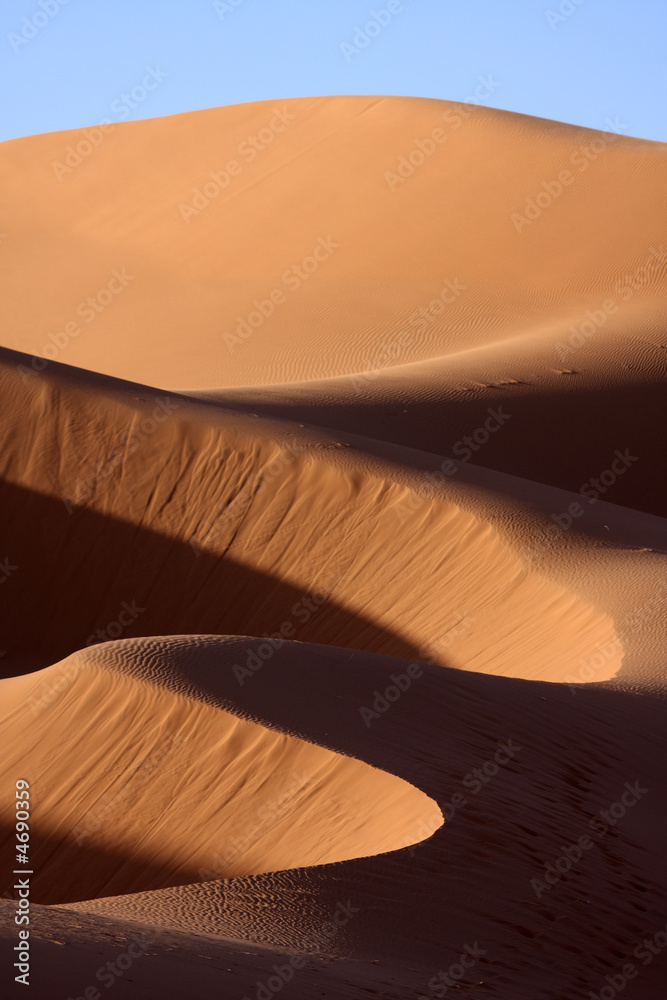 沙丘4