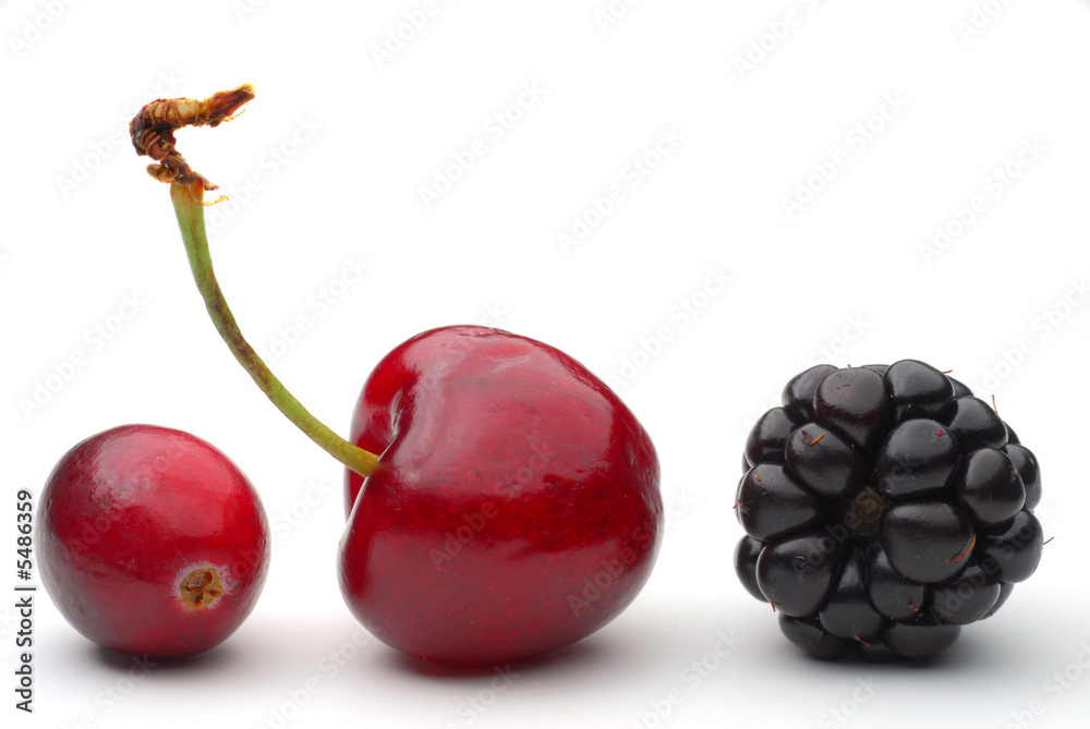 蔓越莓、樱桃和黑莓在白色上分离