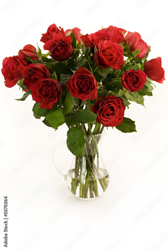 白色背景下花瓶里的美丽红玫瑰。