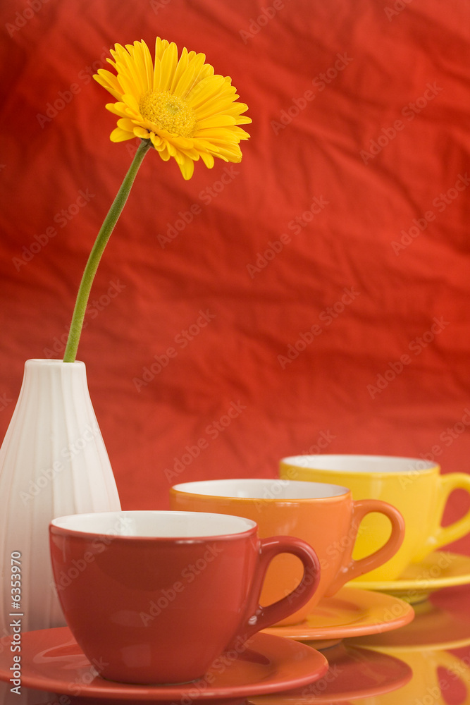 一排彩色杯子和美丽的黄色非洲菊