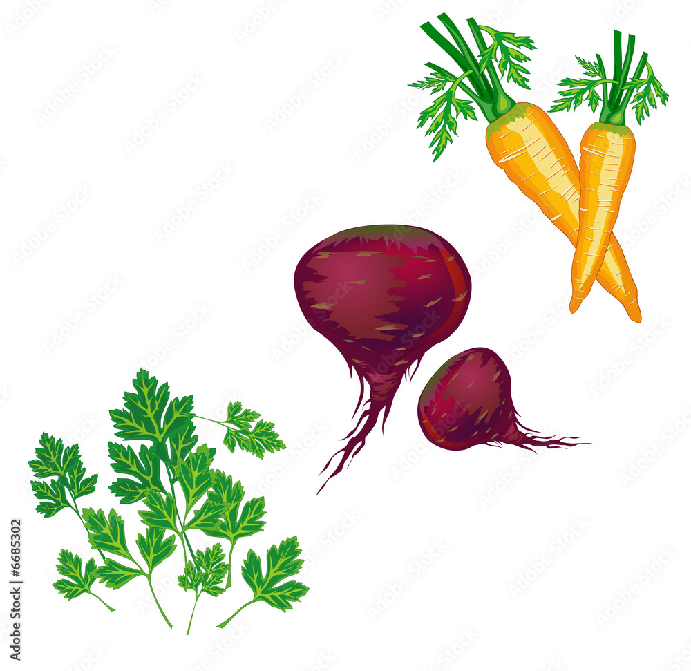 蔬菜插图