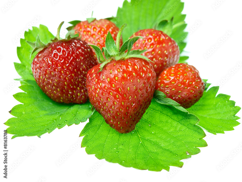 新鲜美味的白底草莓