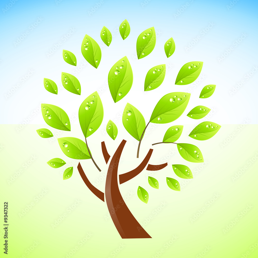 一幅绿色的新鲜树木矢量插图。