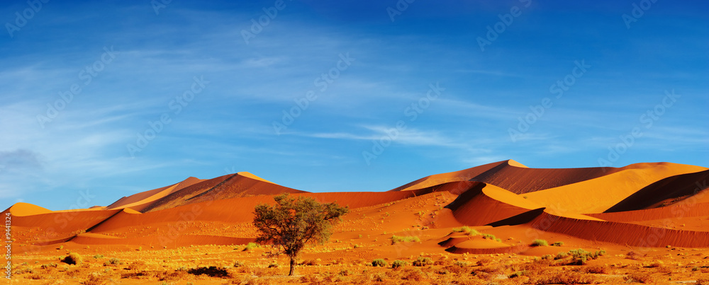 日落时的纳米布沙漠沙丘，纳米比亚索苏斯夫莱