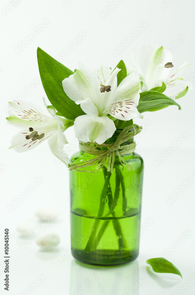 白色背景下的绿色花朵和白色石头