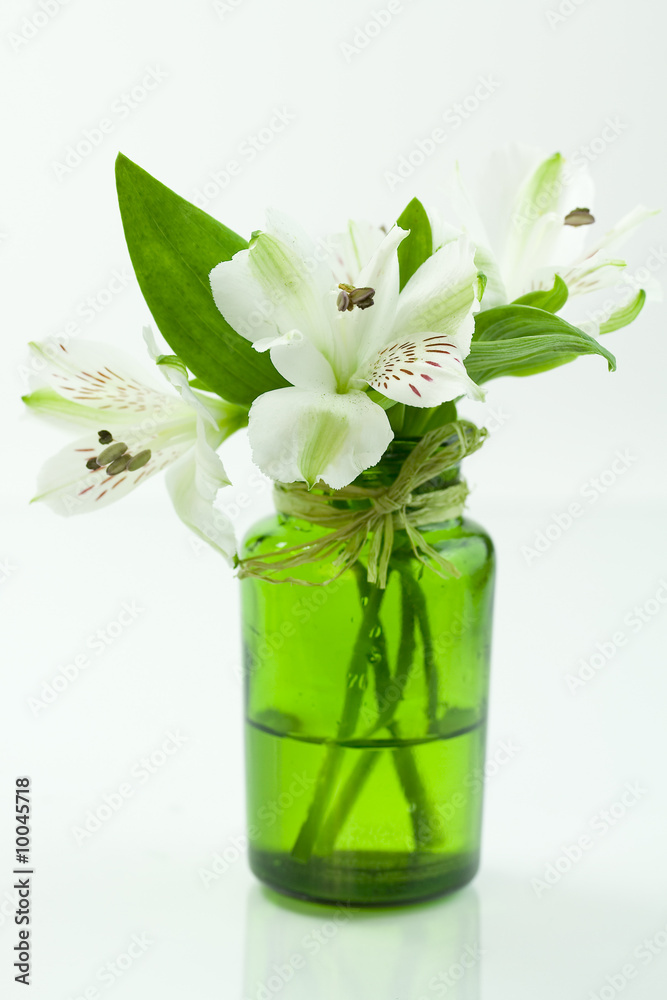 白色背景上的绿色花朵和白色石头
