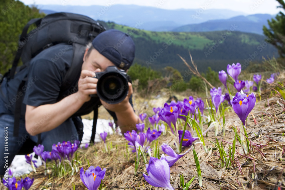 photographer take a picture of  flowers in mountains