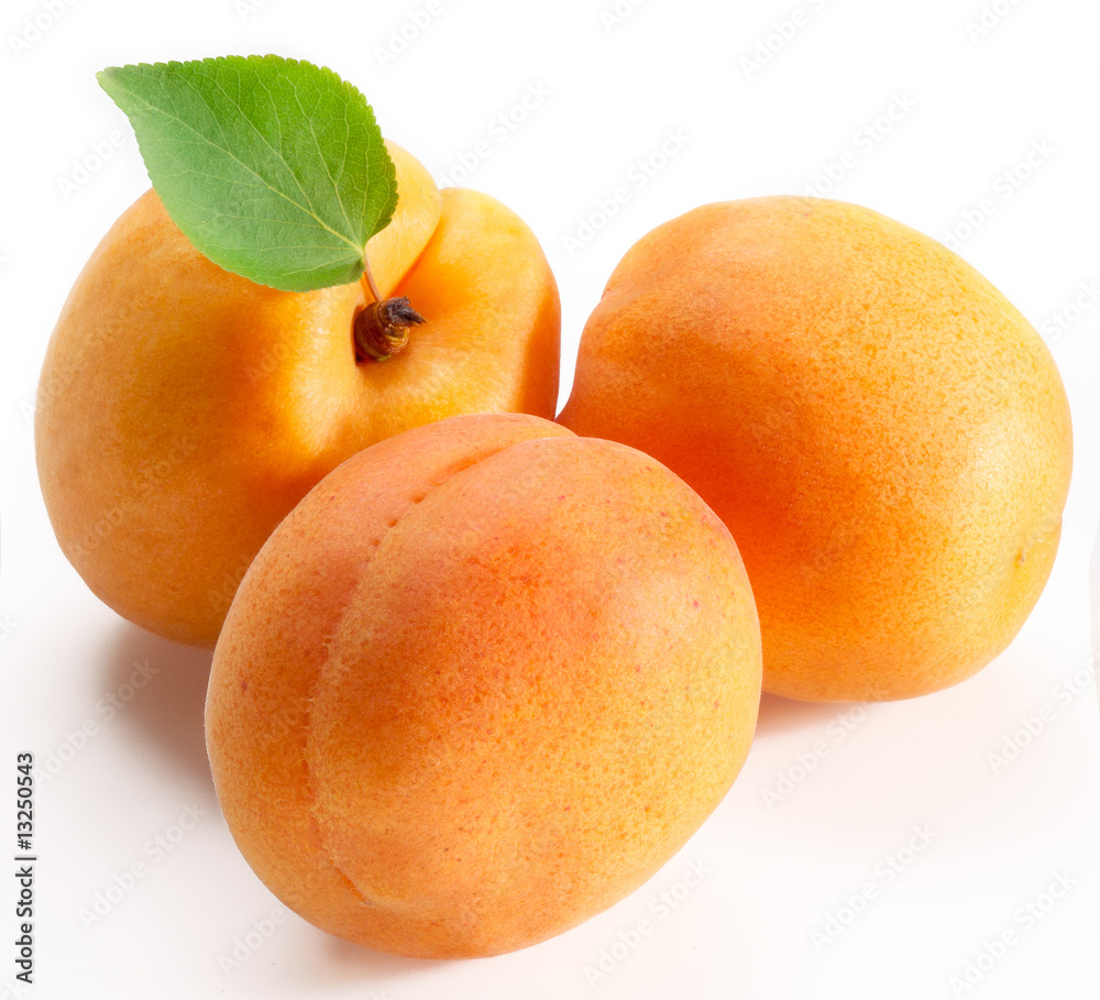 Apricot on white