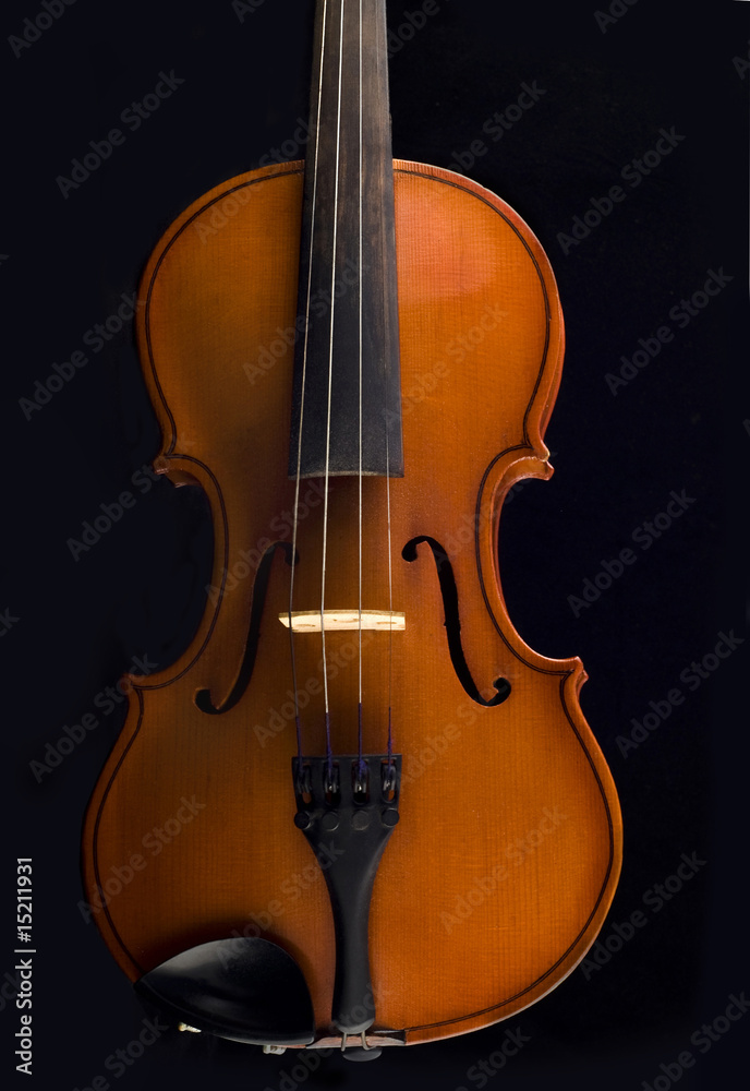 美丽的古色古香黑色小提琴
