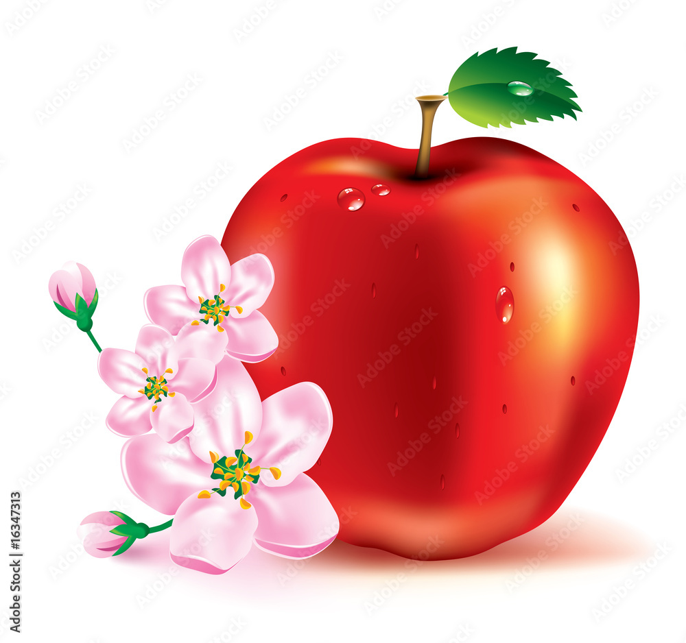 美丽的红苹果和树枝上的花朵