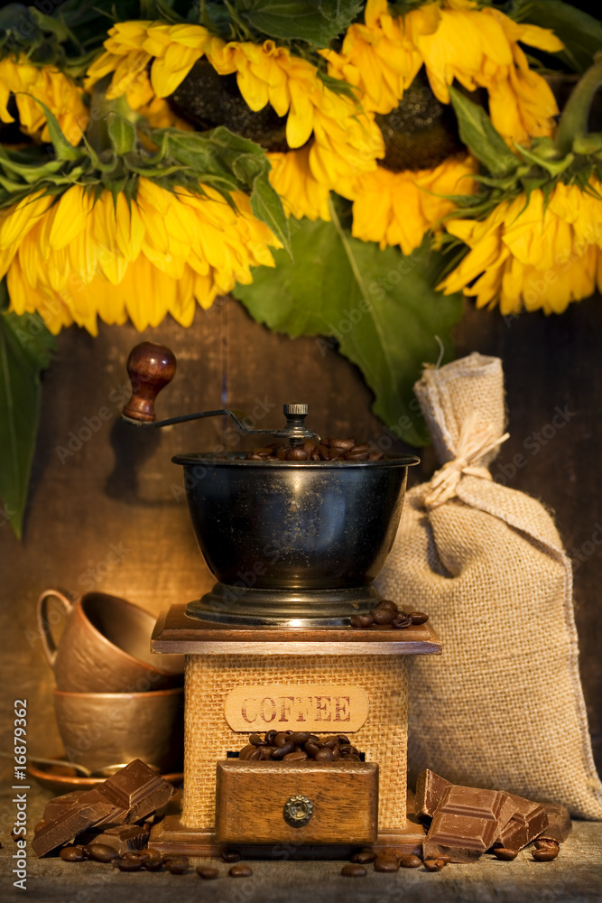 古董咖啡研磨机和向日葵的恶臭生活