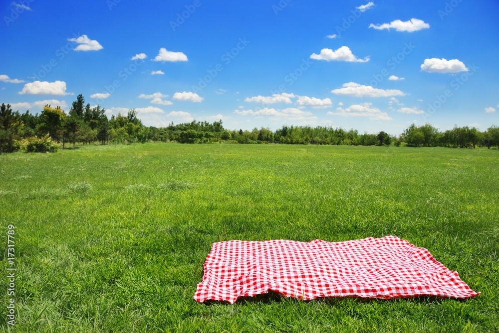 草地上的野餐布，有复制空间