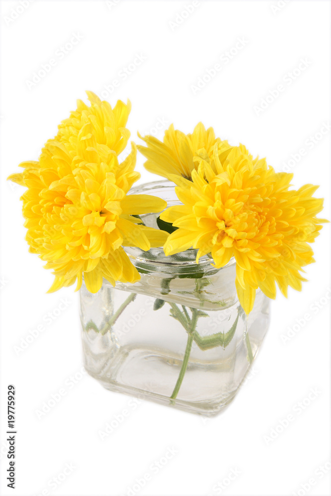 玻璃瓶中的黄色菊花……