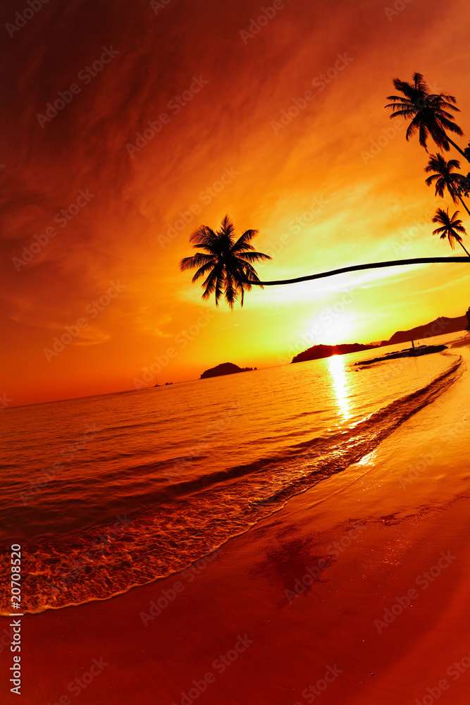 日落时的热带海滩