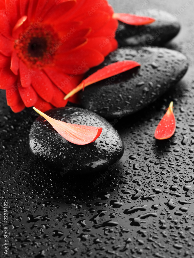 禅宗水疗湿石红花