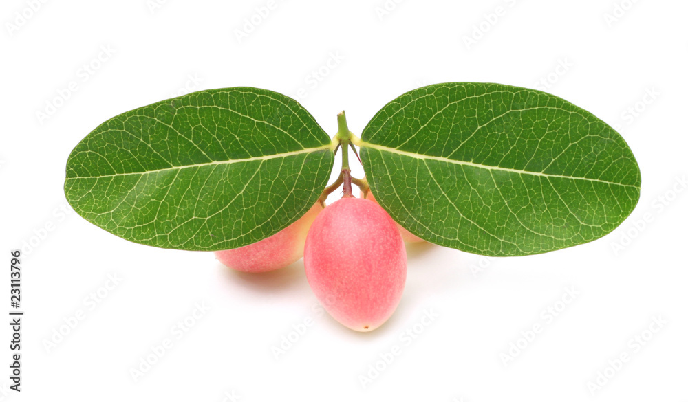 Crimson fruit of south asia known as koromcha