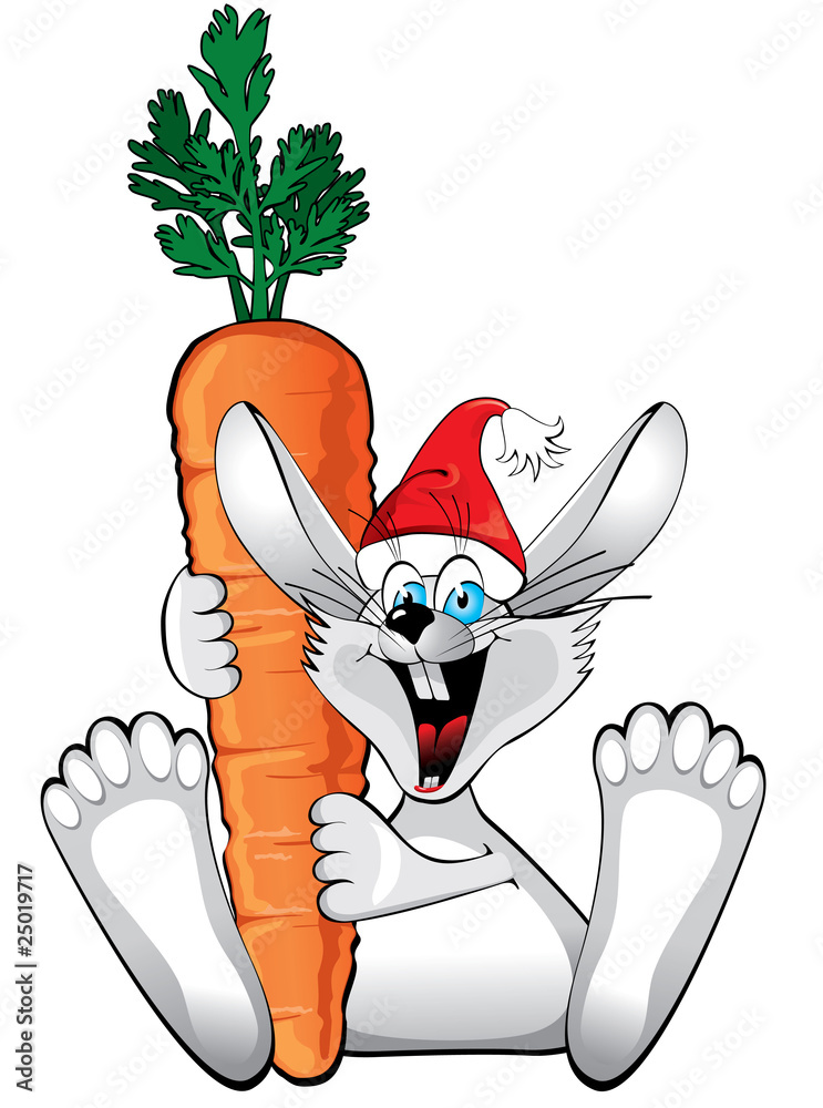 2011年新年：快乐兔子配大胡萝卜