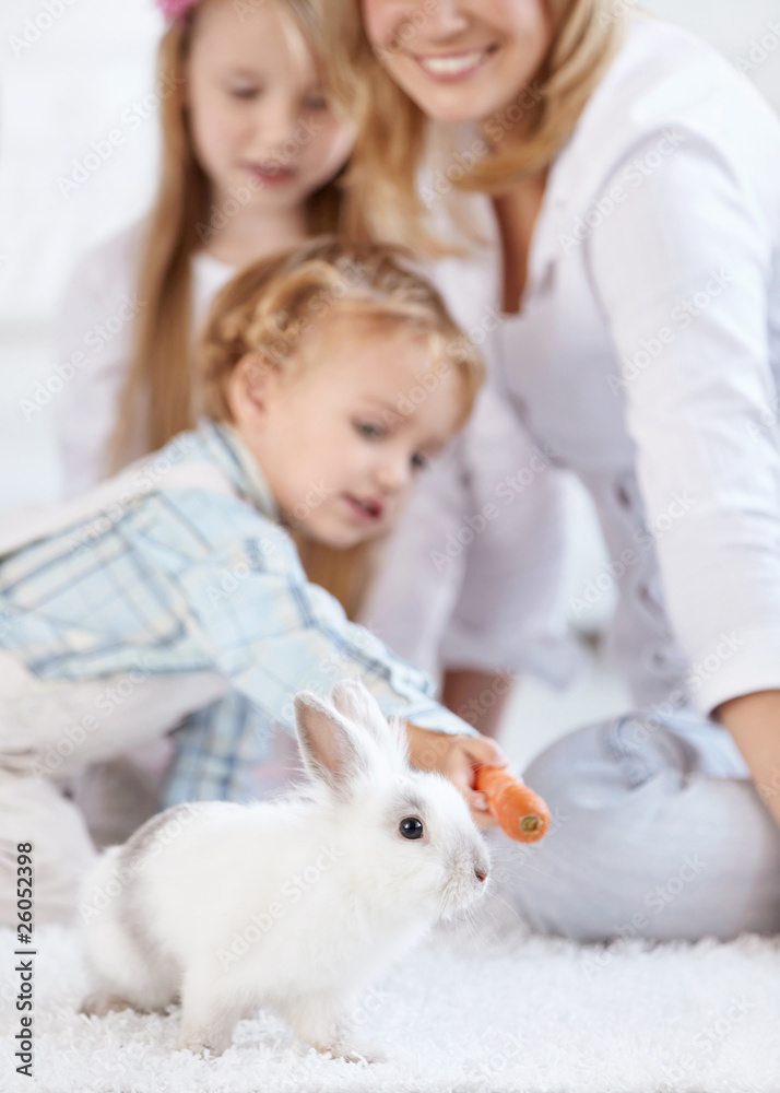 一家人和一只小白兔