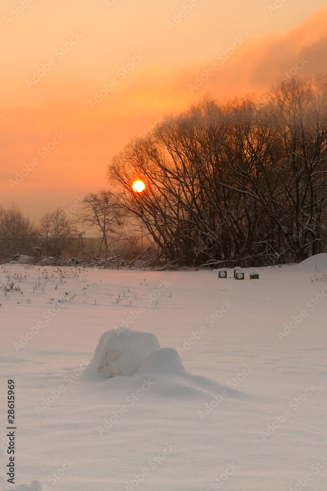 波兰雪地草地上的冬季日出