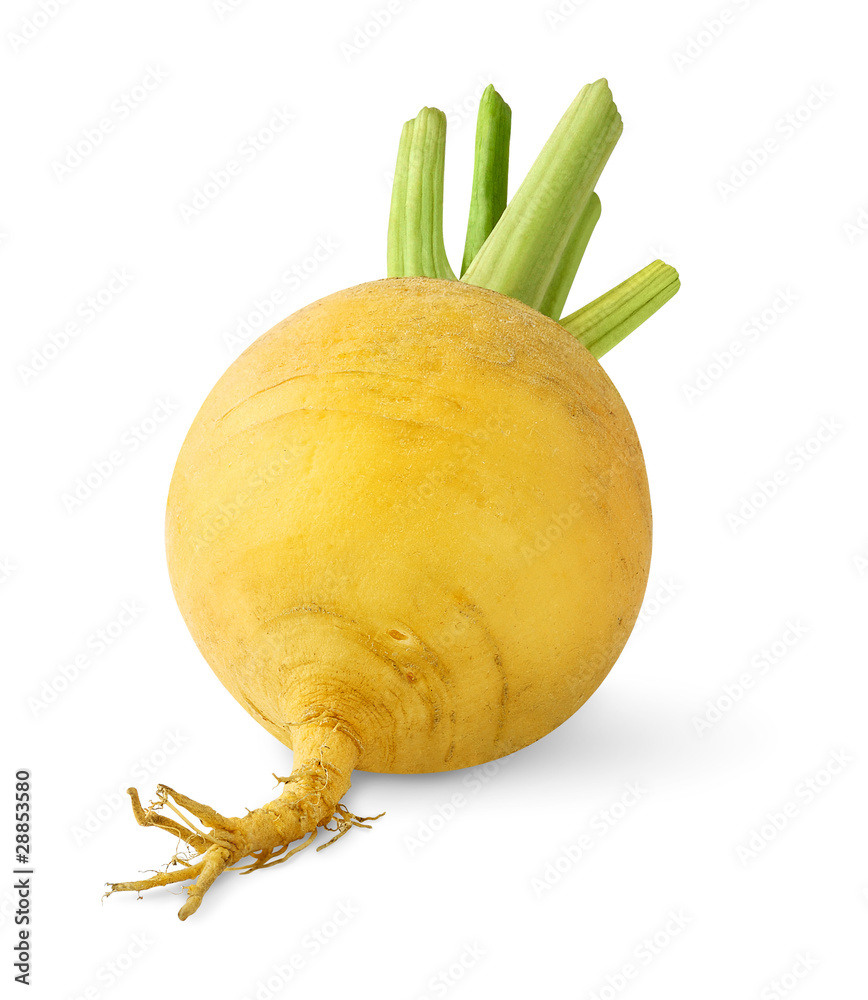 分离的萝卜。一个分离在白色背景上的黄色萝卜