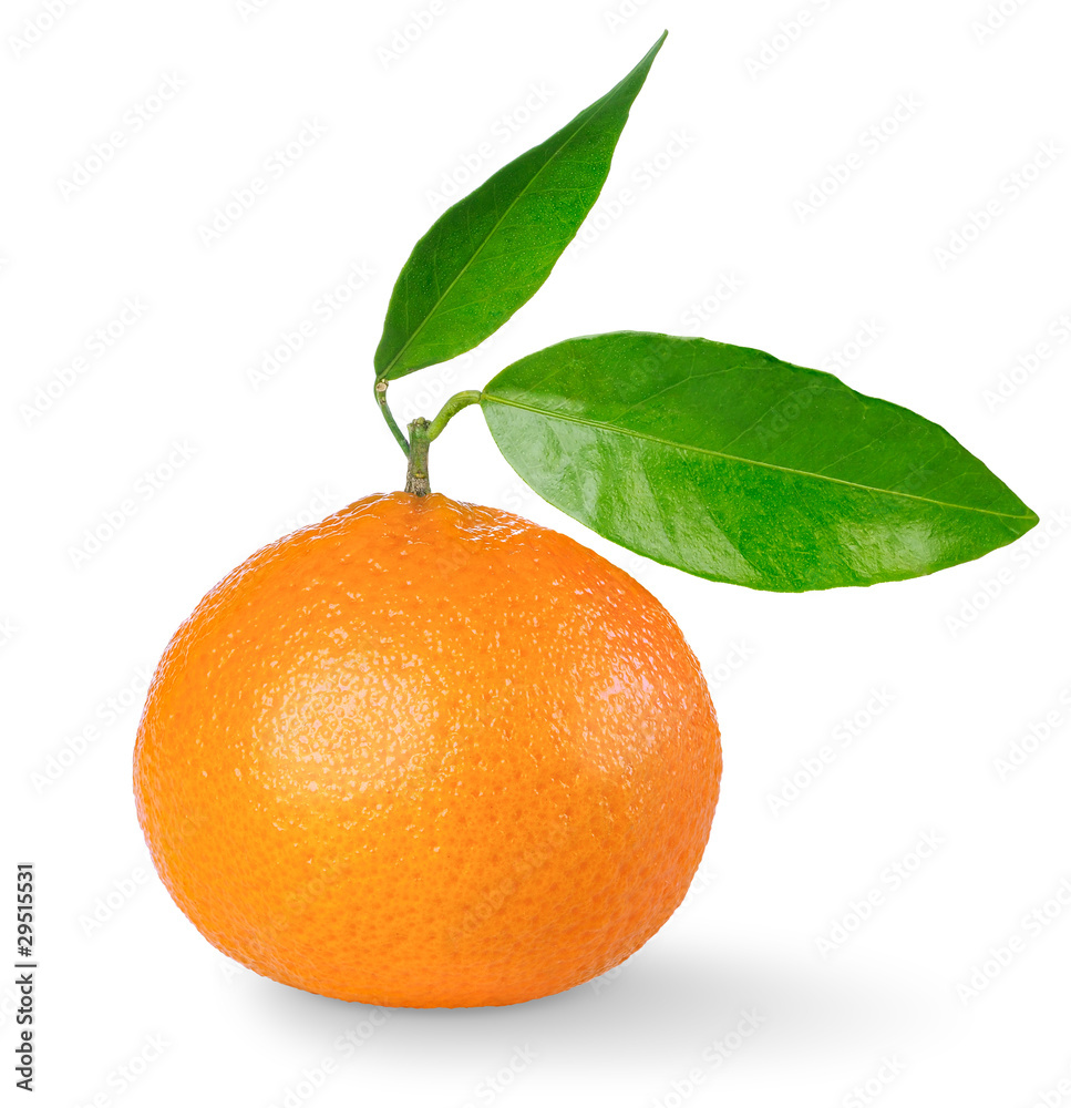 Tangerine with stem and leaves isolated on white background	