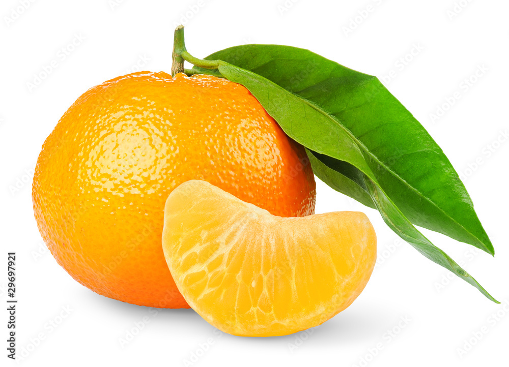 Isolated citrus fruit. One whole tangerine or mandarin orange and a peeled segment isolated on white