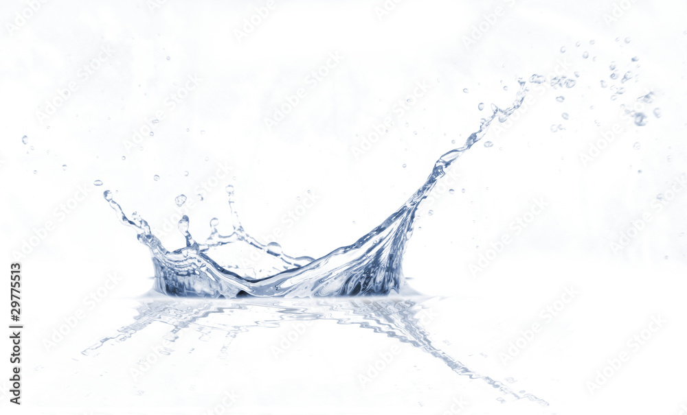 Water splash, isolated on white background