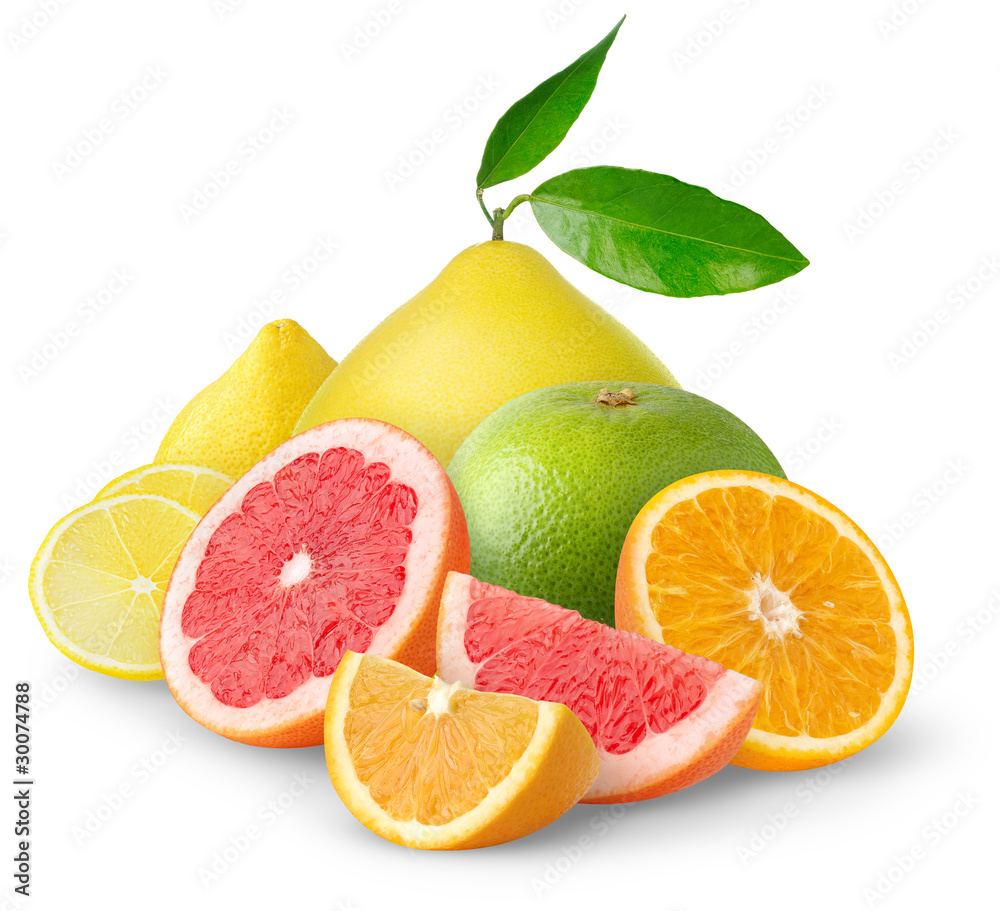 在白色背景下分离的各种柑橘类水果