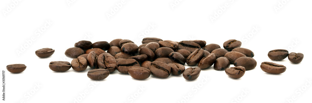白底分离咖啡豆