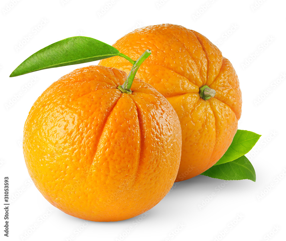 孤立的橙子。两个完整的未剥皮橙子被隔离在白色背景上