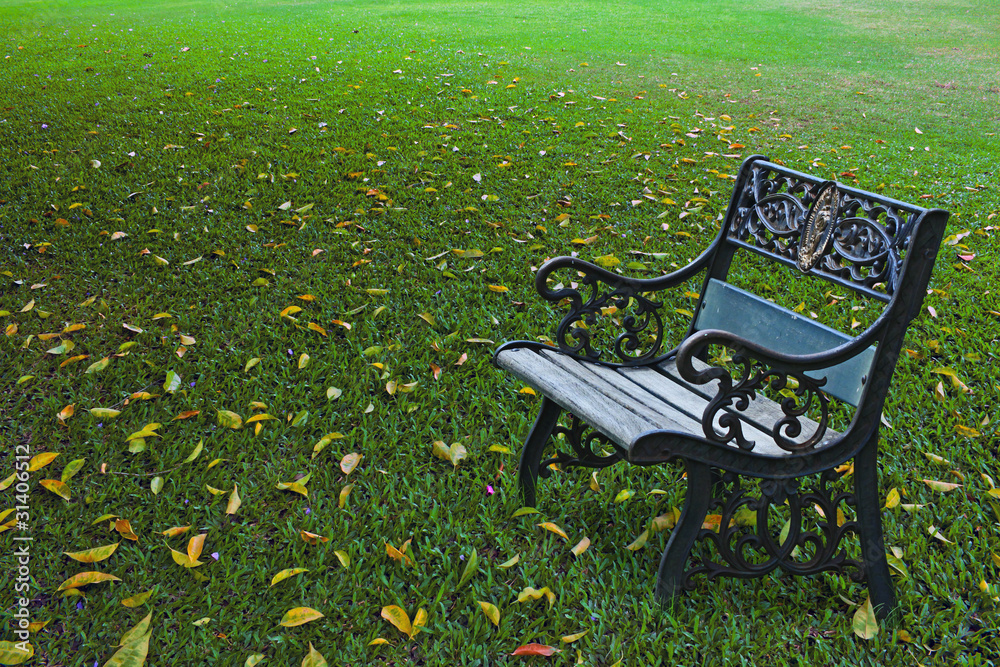 落叶绿草上的金属花园椅