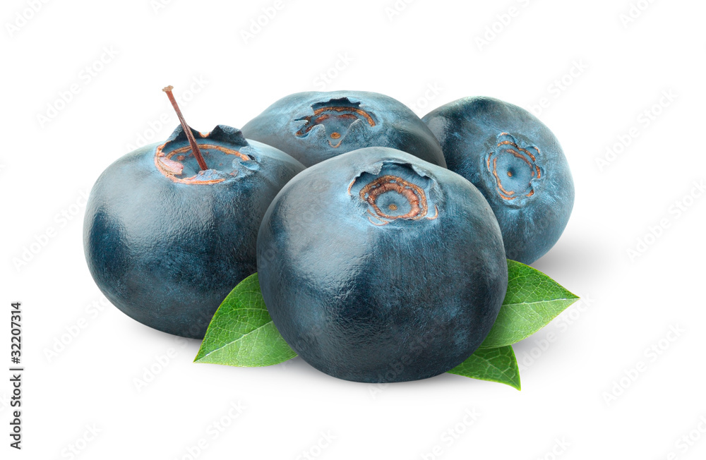 分离的浆果。四种新鲜的蓝莓果实，叶子分离在白色背景上