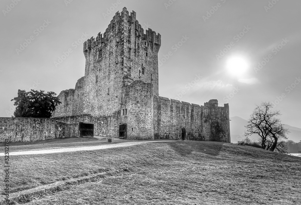 爱尔兰基拉尼的罗斯城堡