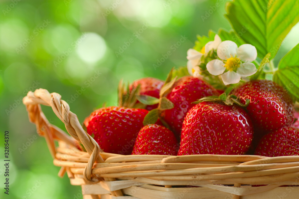 花园里篮子里的草莓