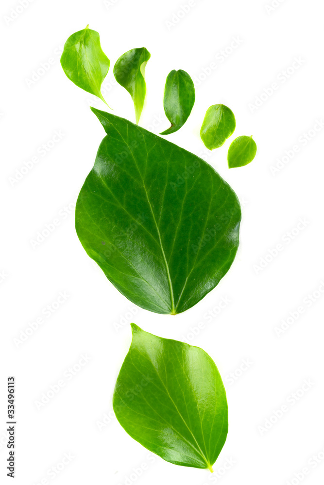 Eco footprint made from leaves