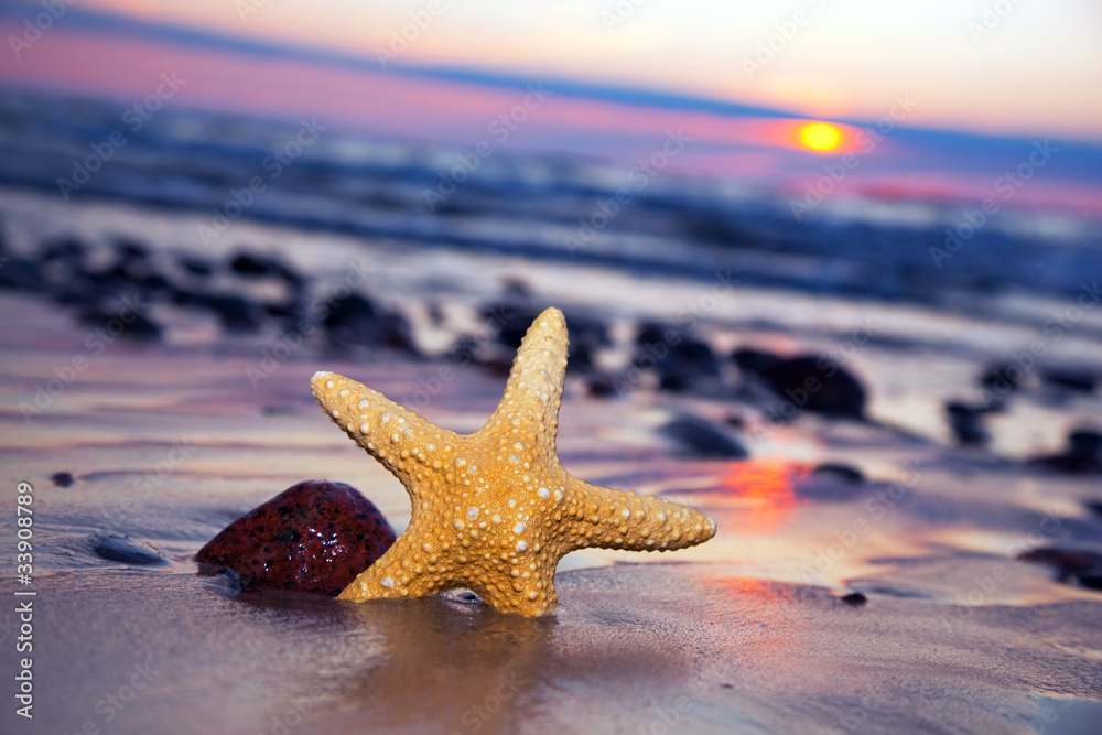 日落时海滩上的海星