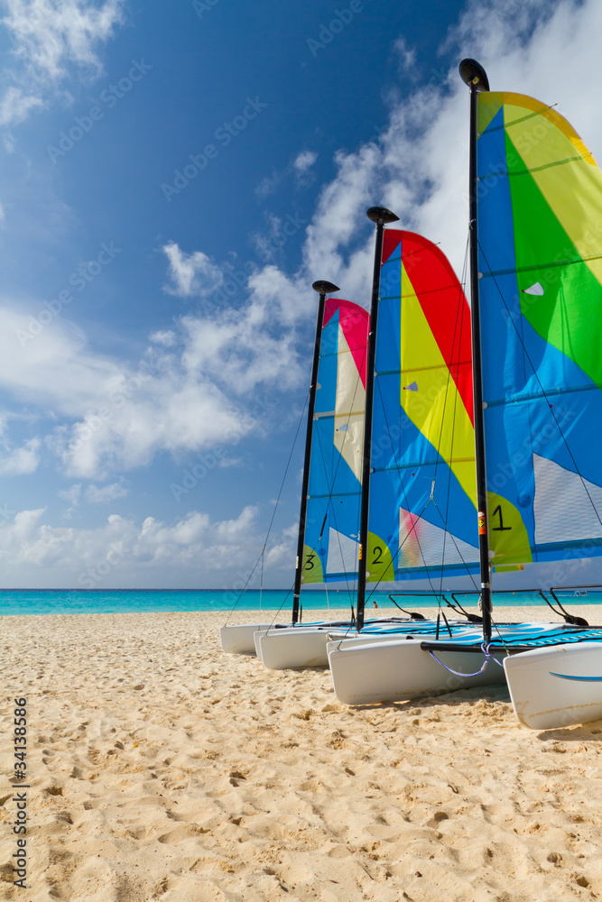 加勒比海滩上的彩帆双体船