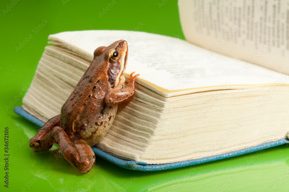 Frog with the book