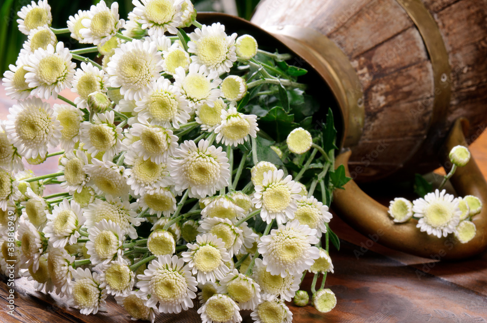 复古壶中的白菊花