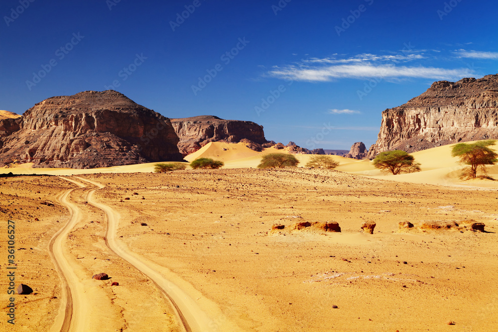 阿尔及利亚撒哈拉沙漠