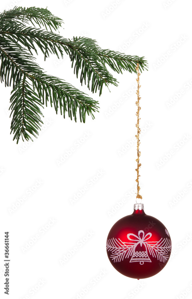 杉木树枝上的圣诞球，在白色背景上隔离