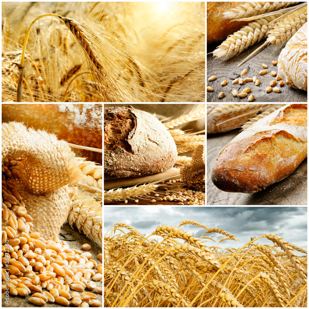 Set of traditional bread, wheat and cereal
