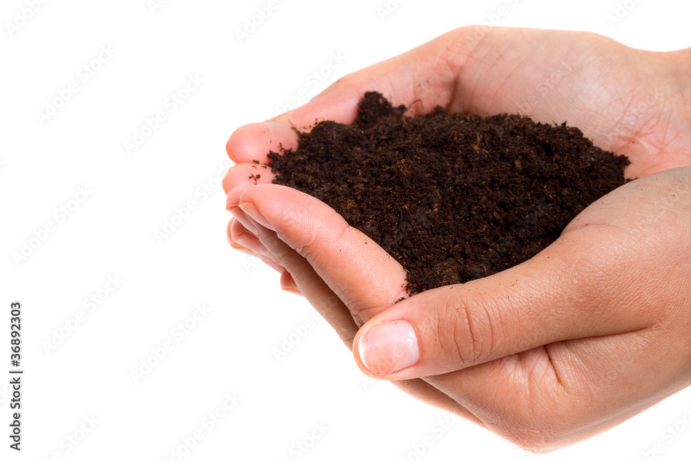 人类的双手将纯净的土壤凌驾于白色之上