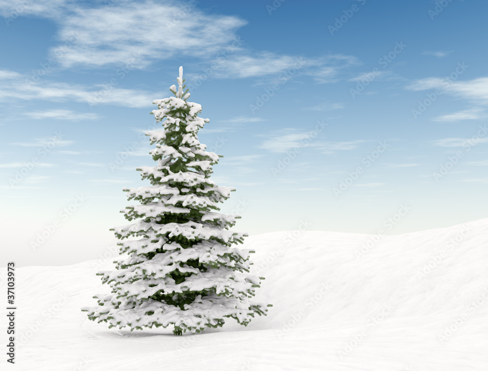 圣诞树和蓝天