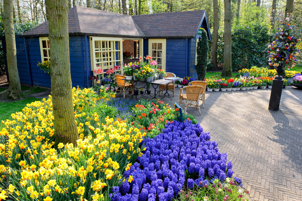 荷兰利斯Keukenhof花园的花店
